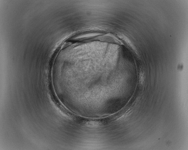 X0000089910444200707271718