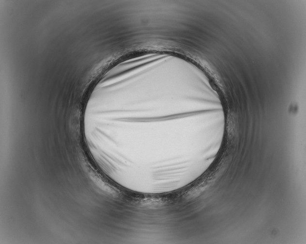 X0000089910445200707271718