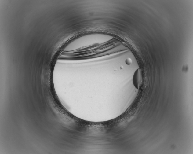 X0000089910446200707271718