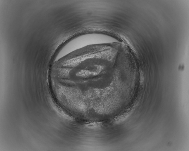 X0000089910447200707271718