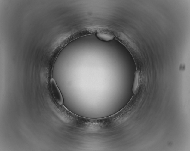 X0000089910448200707271718