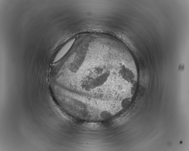 X0000089910449200707271718