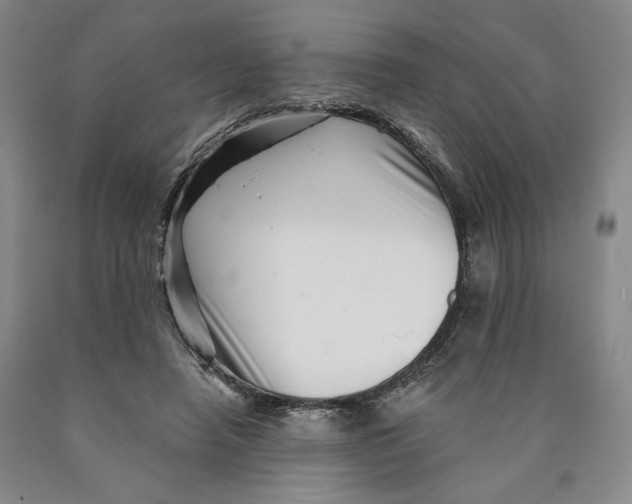 X0000089910450200707271718