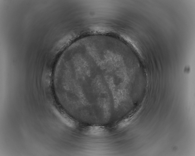 X0000089910451200707271718