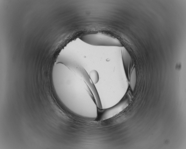 X0000089910452200707271718