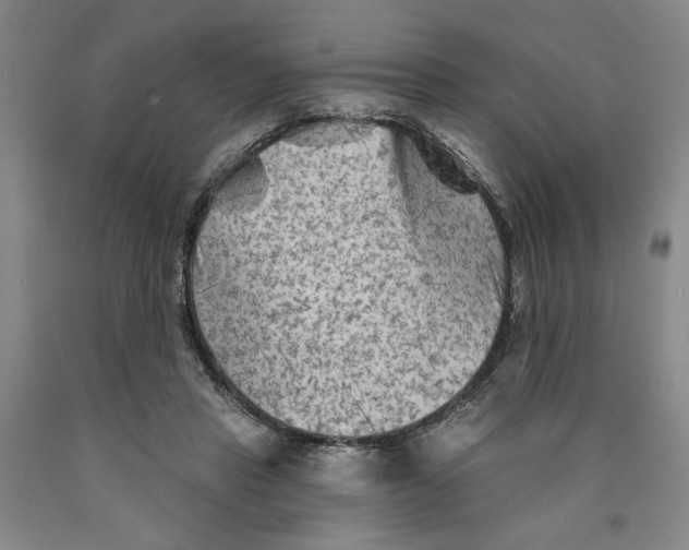 X0000089910453200707271718