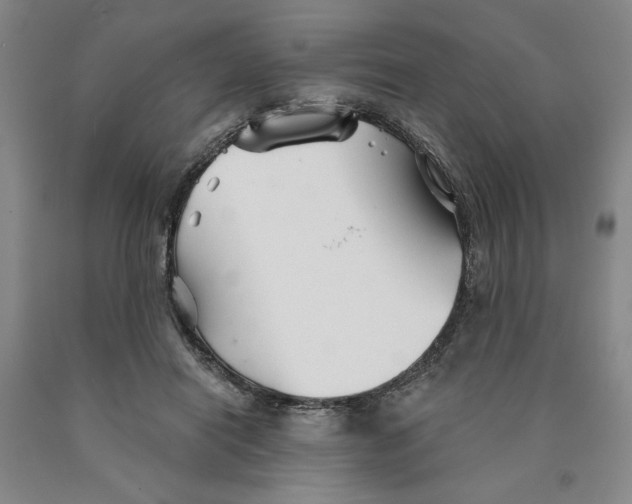 X0000089910454200707271718