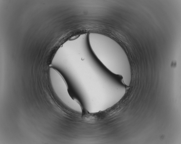 X0000089910456200707271718