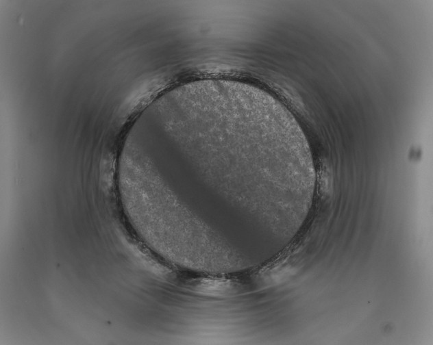 X0000089910458200707271718