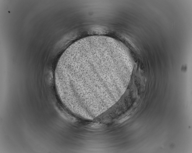 X0000089910459200707271718