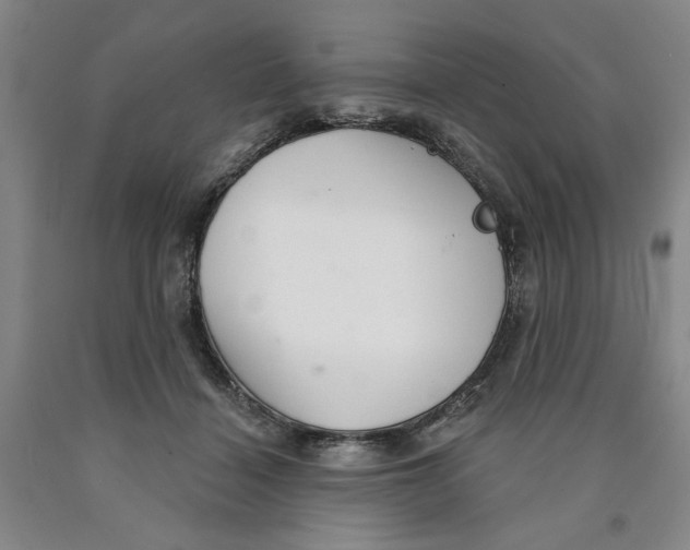 X0000089910460200707271718