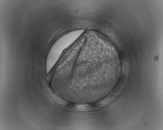 X0000089910461200707271718