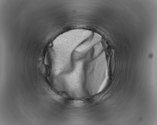 X0000089910462200707271718