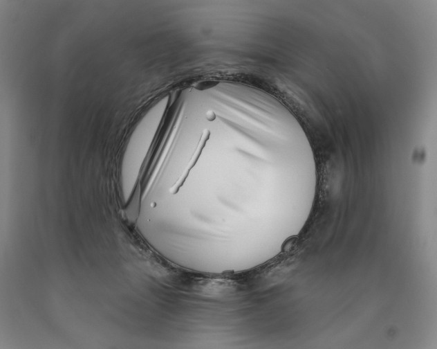 X0000089910463200707271718