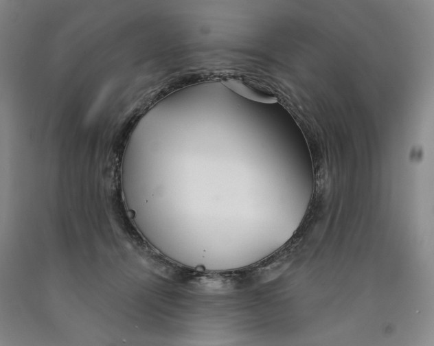 X0000089910464200707271718