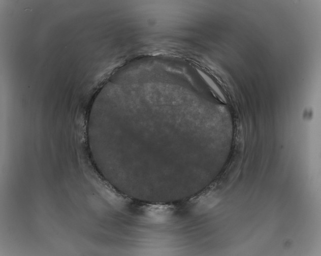 X0000089910465200707271718