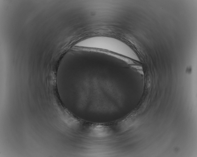 X0000089910467200707271718