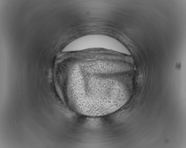 X0000089910469200707271718