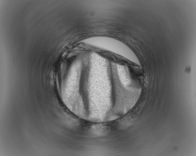 X0000089910470200707271718