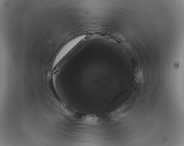 X0000089910471200707271718