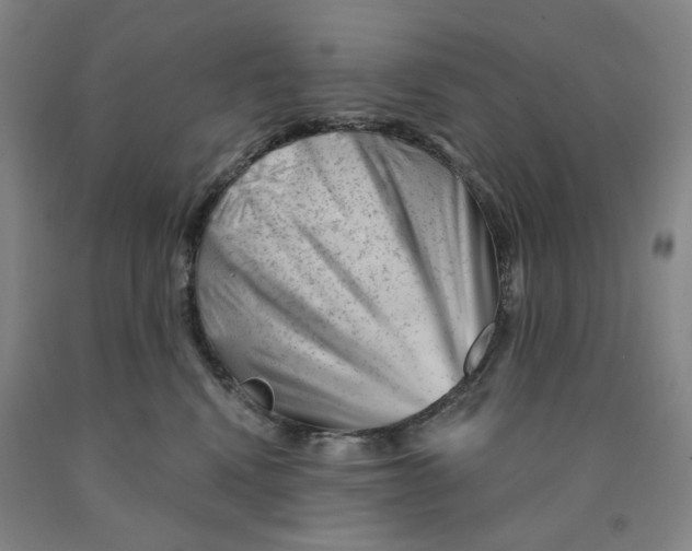 X0000089910472200707271718