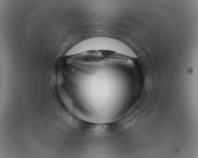 X0000089910474200707271718