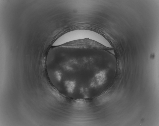 X0000089910475200707271718