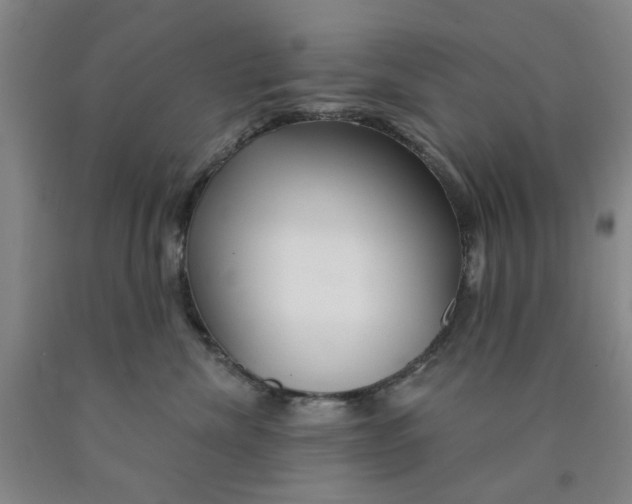 X0000089910476200707271718