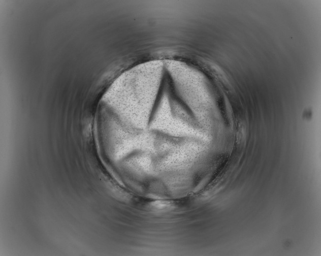 X0000089910477200707271718