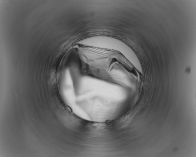 X0000089910478200707271718