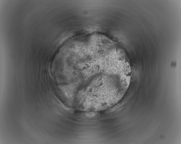 X0000089910479200707271718