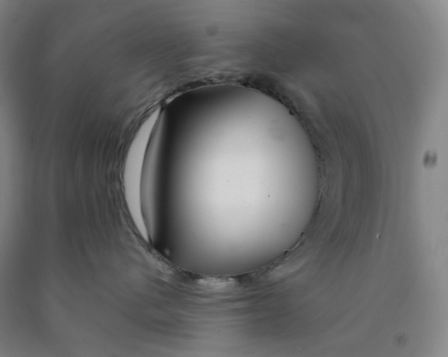 X0000089910480200707271718