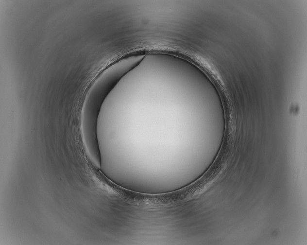 X0000089910481200707271718