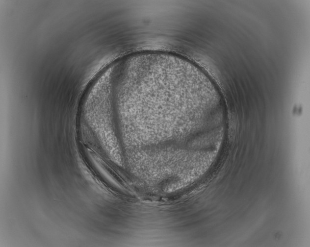 X0000089910482200707271718