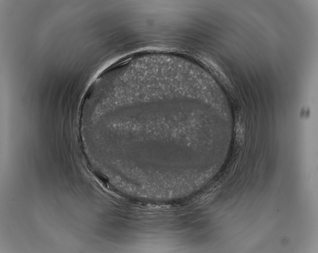 X0000089910484200707271718