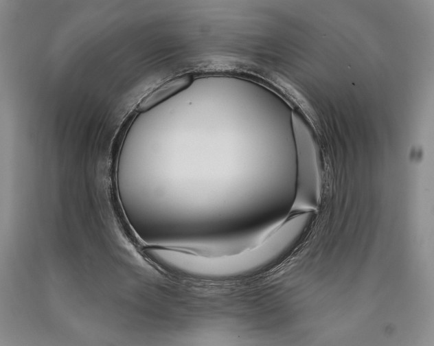 X0000089910485200707271718