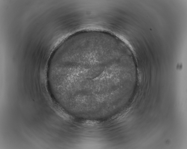 X0000089910487200707271717