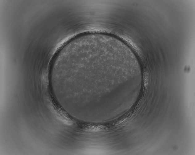 X0000089910488200707271717