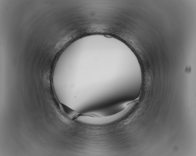 X0000089910489200707271717