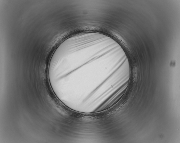 X0000089910490200707271717