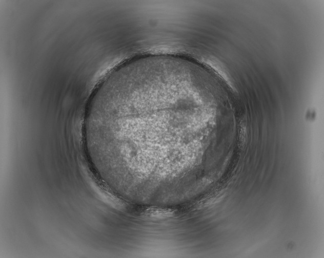 X0000089910491200707271717