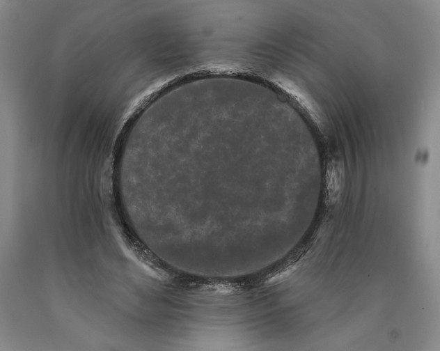 X0000089910492200707271717