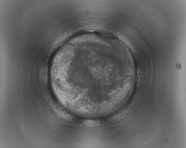 X0000089910494200707271717