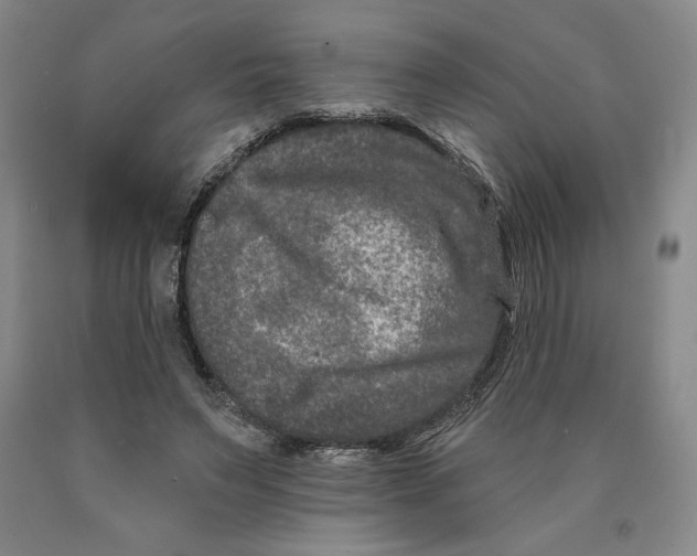 X0000089910495200707271717