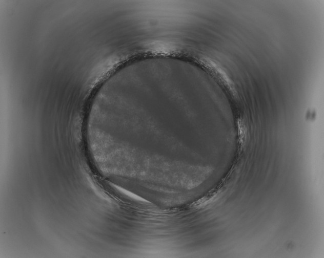 X0000089910496200707271717