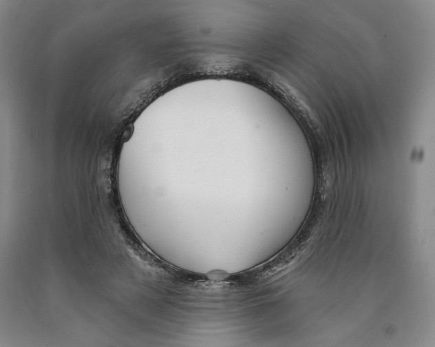 X0000089910497200707271717