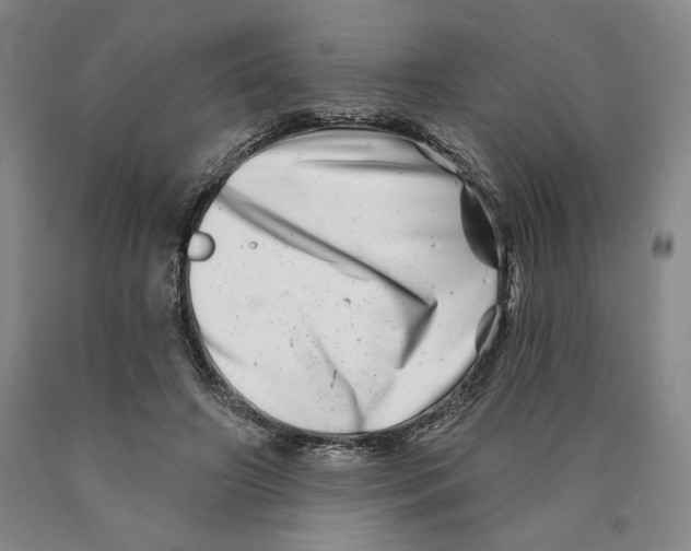 X0000089910498200707271717