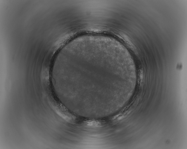 X0000089910500200707271717