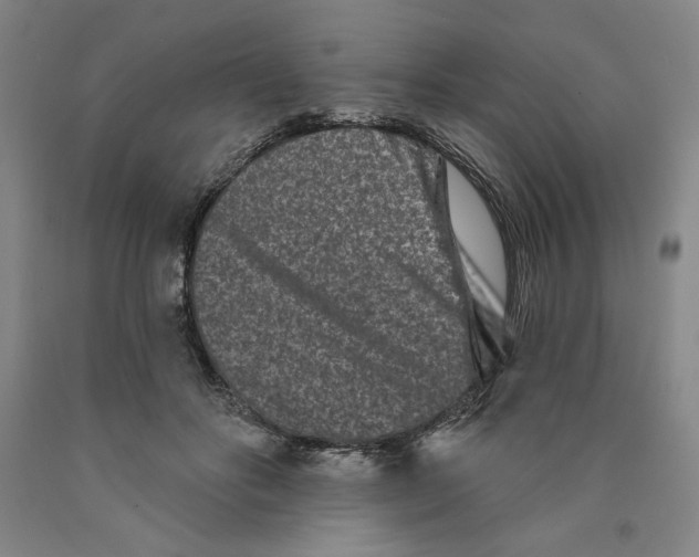 X0000089910502200707271717