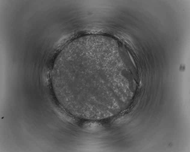 X0000089910503200707271717